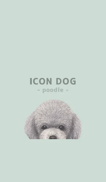 [LINE着せ替え] ICON DOG - トイプードル - PASTEL GR/02の画像1