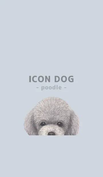 [LINE着せ替え] ICON DOG - トイプードル - PASTEL BL/02の画像1