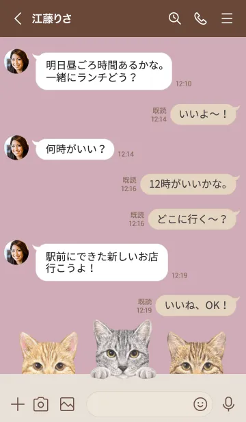 [LINE着せ替え] 猫 - ミックス 03 - ダスティローズピンクの画像4