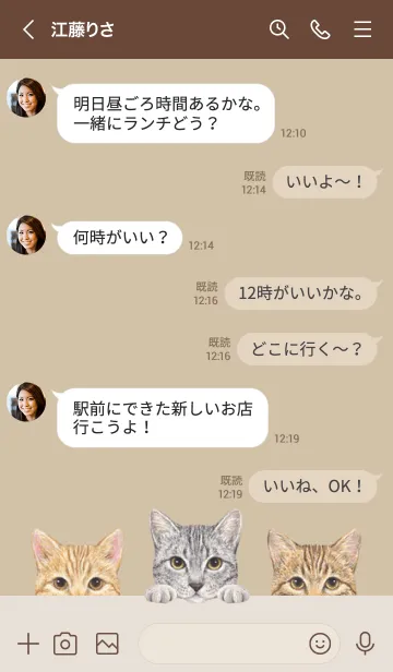 [LINE着せ替え] 猫 - ミックス 03 - ダスティベージュの画像4