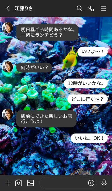 [LINE着せ替え] 魚の家の画像4