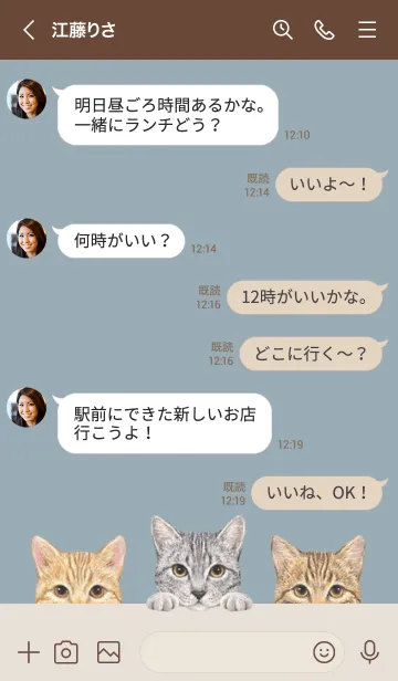 [LINE着せ替え] 猫 - ミックス 03 - ダスティブルーの画像4