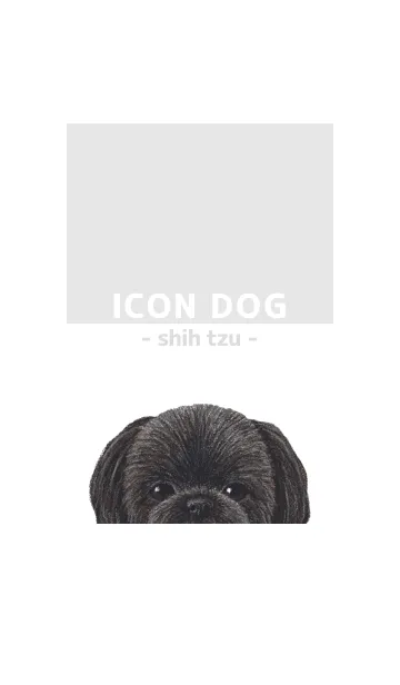 [LINE着せ替え] ICON DOG - シーズー - GRAY/02の画像1