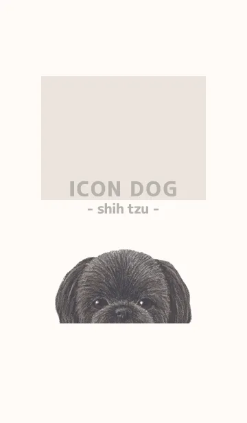 [LINE着せ替え] ICON DOG - シーズー - BEIGE/02の画像1