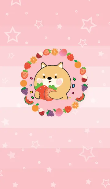 [LINE着せ替え] Simple Shiba Inu Love Fruit Theme (JP)の画像1