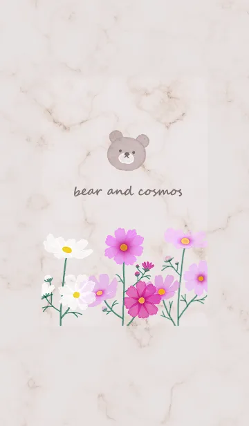 クマとマーブル✿ブラウン01_1の着せ替えメイン画像