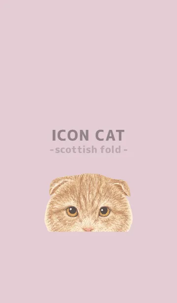 [LINE着せ替え] ICON CAT - スコティッシュ - PASTEL PK/01の画像1