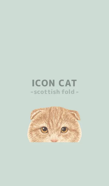 [LINE着せ替え] ICON CAT - スコティッシュ - PASTEL GR/01の画像1