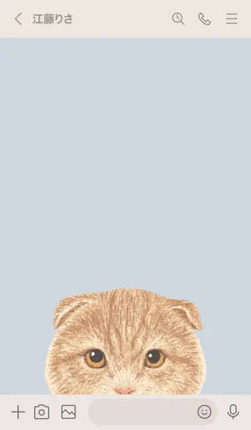 [LINE着せ替え] ICON CAT - スコティッシュ - PASTEL BL/01の画像3