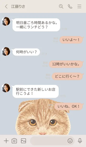 [LINE着せ替え] ICON CAT - スコティッシュ - PASTEL BL/01の画像4