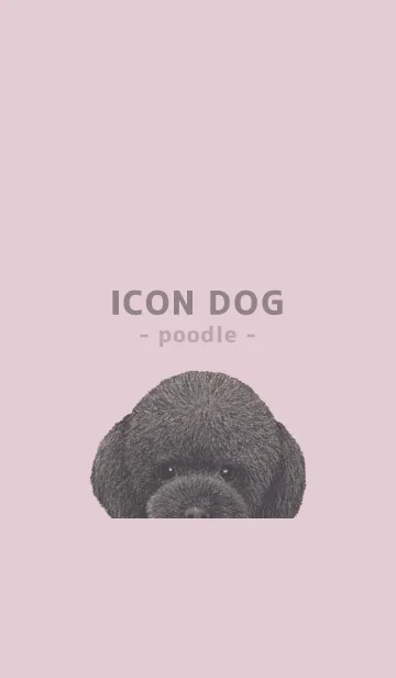 [LINE着せ替え] ICON DOG - トイプードル - PASTEL PK/03の画像1