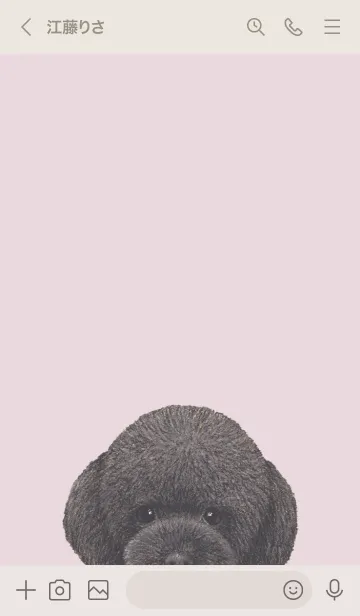 [LINE着せ替え] ICON DOG - トイプードル - PASTEL PK/03の画像3