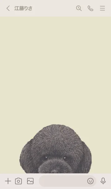 [LINE着せ替え] ICON DOG - トイプードル - PASTEL YE/03の画像3