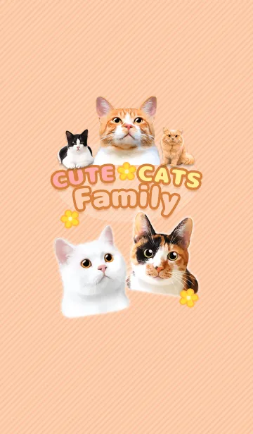 [LINE着せ替え] CUTE CATS Family かわいい猫の家族の画像1