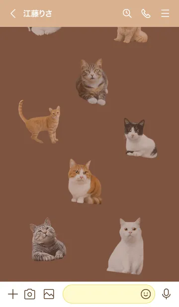 [LINE着せ替え] CUTE CATS Family かわいい猫の家族の画像3