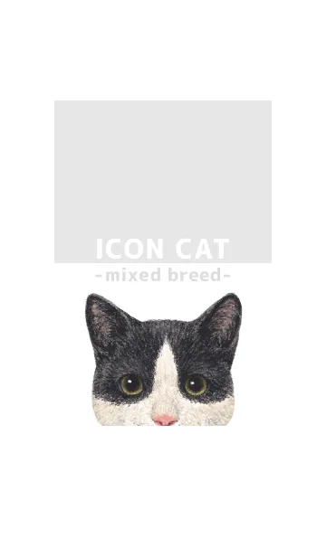 [LINE着せ替え] ICON CAT - ミックス - GRAY/09の画像1