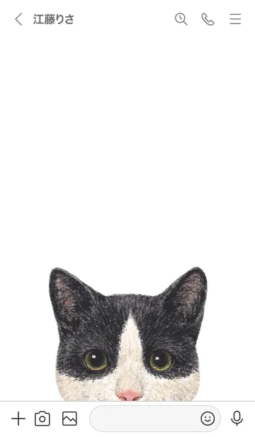 [LINE着せ替え] ICON CAT - ミックス - GRAY/09の画像3