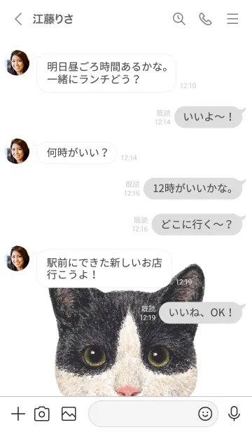 [LINE着せ替え] ICON CAT - ミックス - GRAY/09の画像4