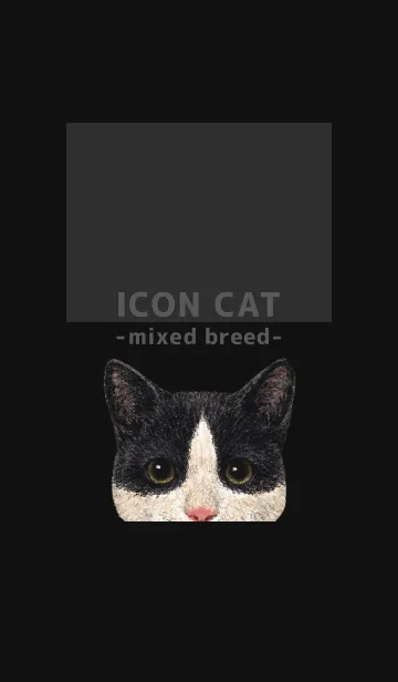 [LINE着せ替え] ICON CAT - ミックス - BLACK/09の画像1