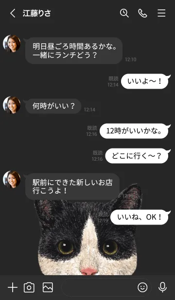 [LINE着せ替え] ICON CAT - ミックス - BLACK/09の画像4