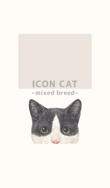 [LINE着せ替え] ICON CAT - ミックス - BEIGE/09の画像1