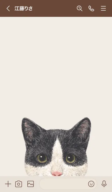 [LINE着せ替え] ICON CAT - ミックス - BROWN/09の画像3