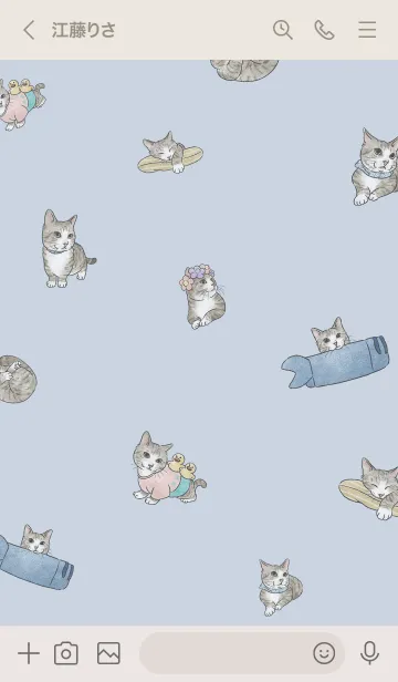 [LINE着せ替え] tabbytcat3 / light slate blue .jpの画像3