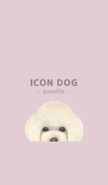 [LINE着せ替え] ICON DOG - トイプードル - PASTEL PK/04の画像1