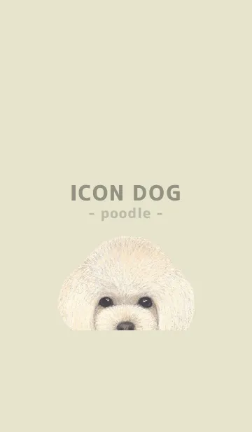 [LINE着せ替え] ICON DOG - トイプードル - PASTEL YE/04の画像1