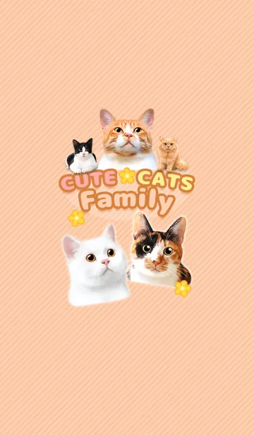 [LINE着せ替え] CUTE CATS Family BROWN【修正版】の画像1