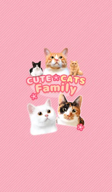 [LINE着せ替え] CUTE CATS Family PINKの画像1