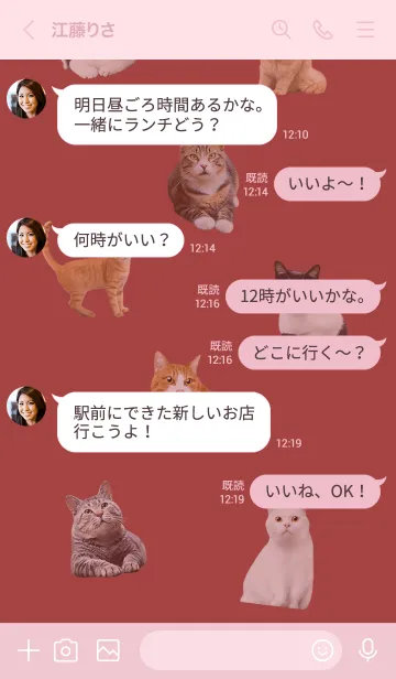 [LINE着せ替え] CUTE CATS Family PINKの画像4