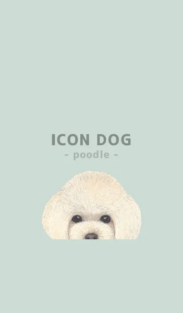 [LINE着せ替え] ICON DOG - トイプードル - PASTEL GR/04の画像1