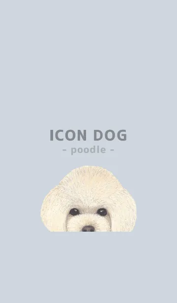 [LINE着せ替え] ICON DOG - トイプードル - PASTEL BL/04の画像1