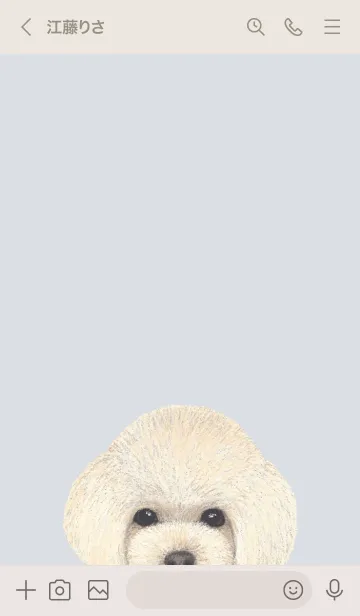 [LINE着せ替え] ICON DOG - トイプードル - PASTEL BL/04の画像3