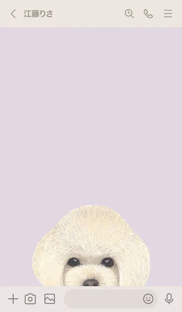 [LINE着せ替え] ICON DOG - トイプードル - PASTEL PL/04の画像3
