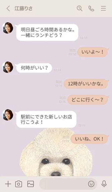 [LINE着せ替え] ICON DOG - トイプードル - PASTEL PL/04の画像4