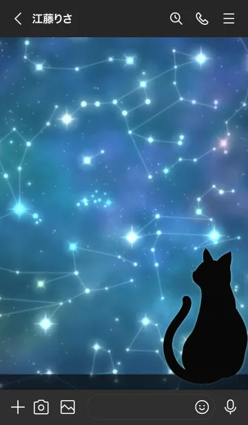 [LINE着せ替え] 猫と星.の画像3