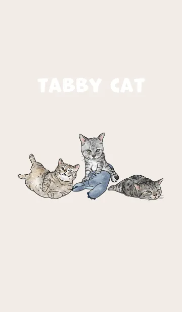 [LINE着せ替え] tabbycat5 / light cream .jpの画像1