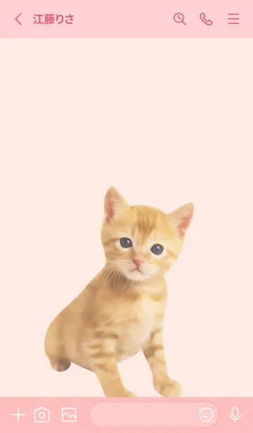 [LINE着せ替え] Cute Cats 可愛いチャトラの子猫【修正版】の画像3
