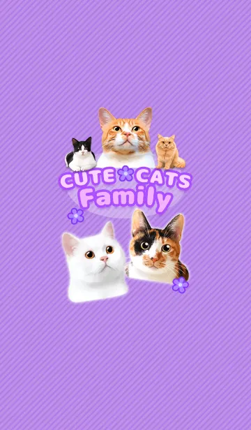 [LINE着せ替え] CUTE CATS Family PURPLEの画像1