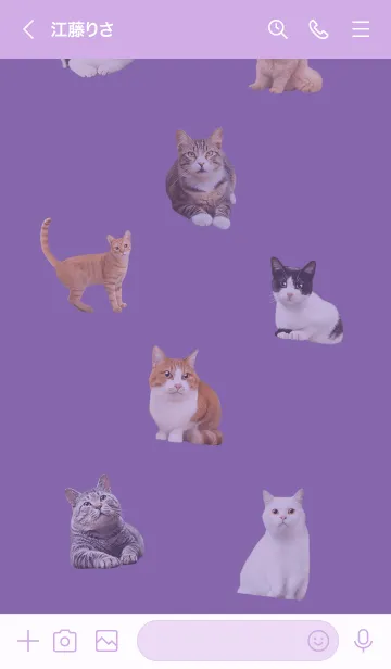 [LINE着せ替え] CUTE CATS Family PURPLEの画像3