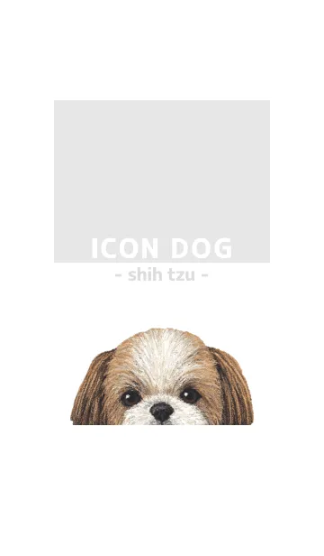 [LINE着せ替え] ICON DOG - シーズー - GRAY/03の画像1