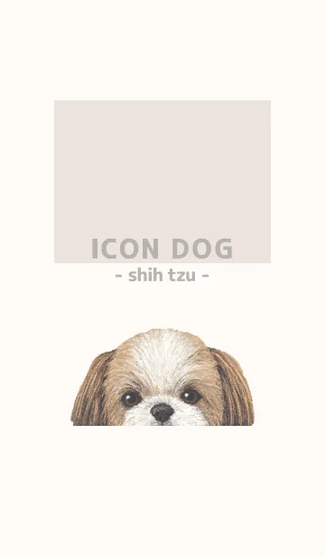 [LINE着せ替え] ICON DOG - シーズー - BEIGE/03の画像1