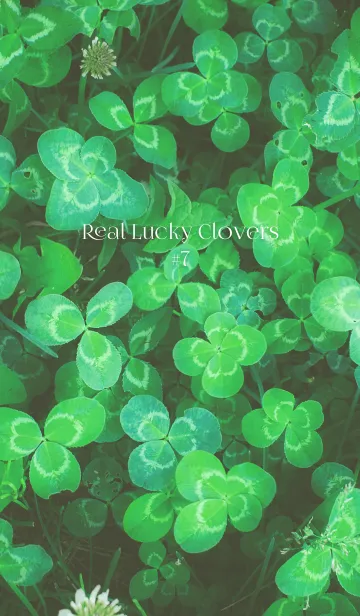 [LINE着せ替え] 本物ラッキークローバーズ #7の画像1