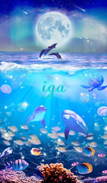 [LINE着せ替え] ワンダフルライフ✨いがの祝福の画像1