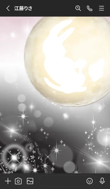 [LINE着せ替え] 黒とピンク : 運気上昇の月と兎の画像3