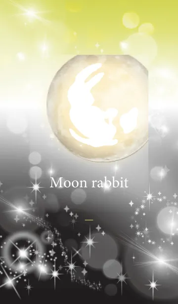 [LINE着せ替え] 黒と黄色 : 運気上昇の月と兎の画像1