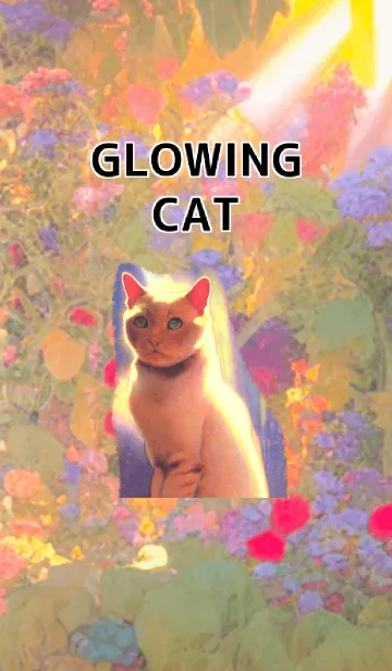 [LINE着せ替え] 温かな光に包まれたネコ 油絵風の画像1
