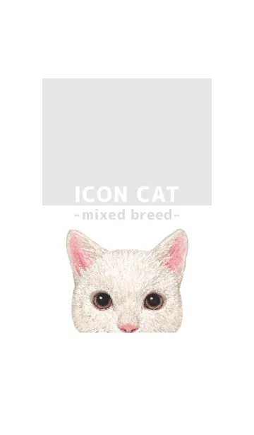 [LINE着せ替え] ICON CAT - ミックス - GRAY/10の画像1